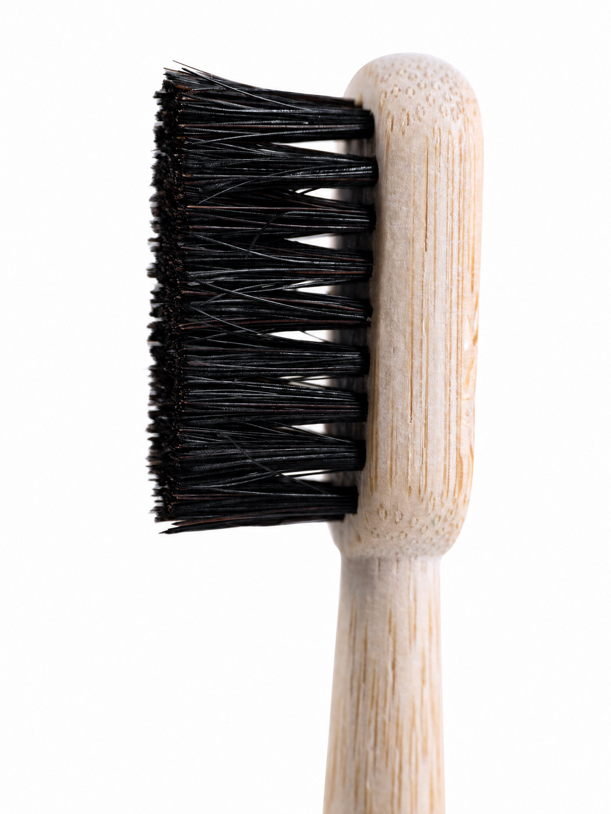 WildBristle 3 pk Adult Horse - Soft