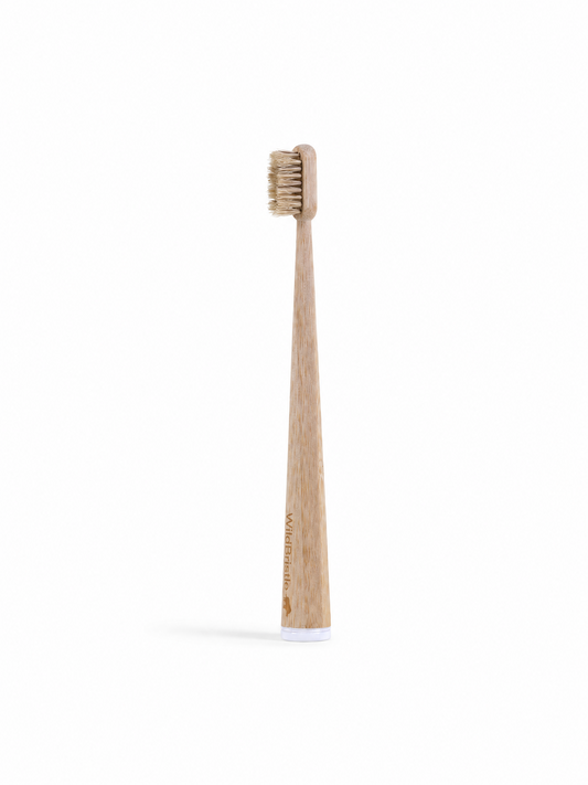 WildBristle 4 pk Adult Boar Hair - Firm