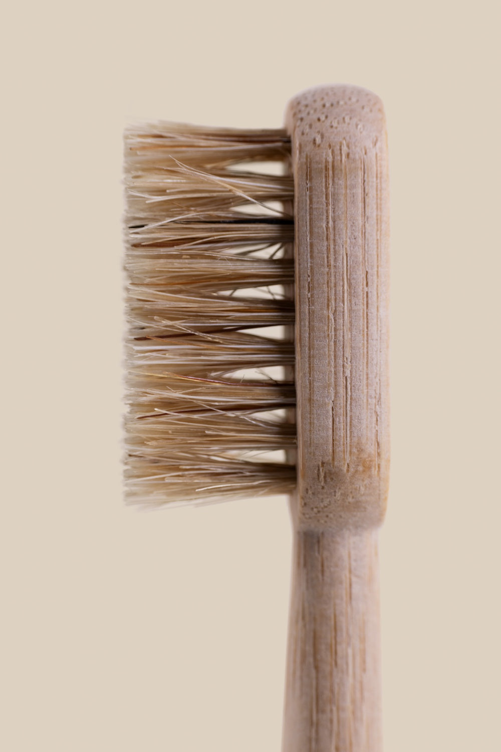 WIldbristle Toothbrush