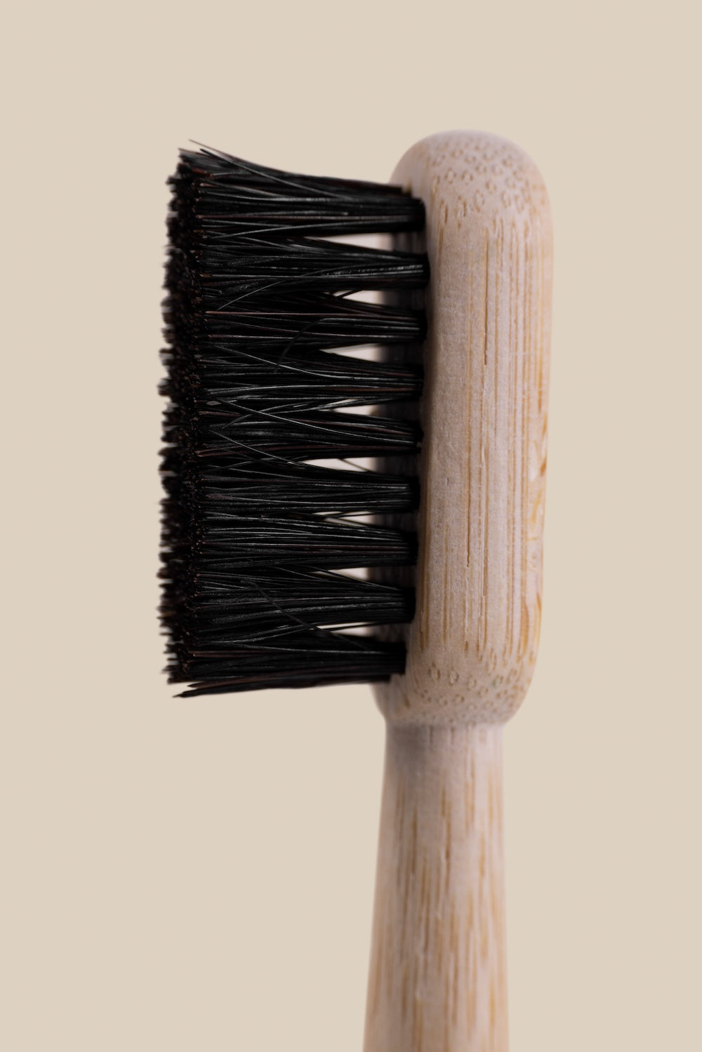 WIldbristle Toothbrush