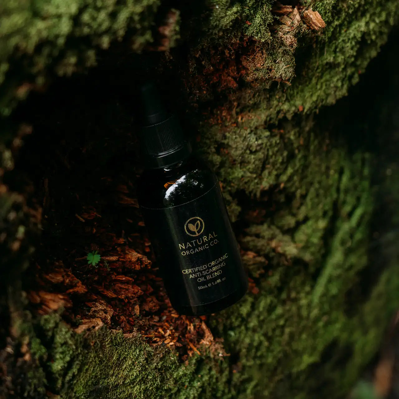 The Renewal Blend Set