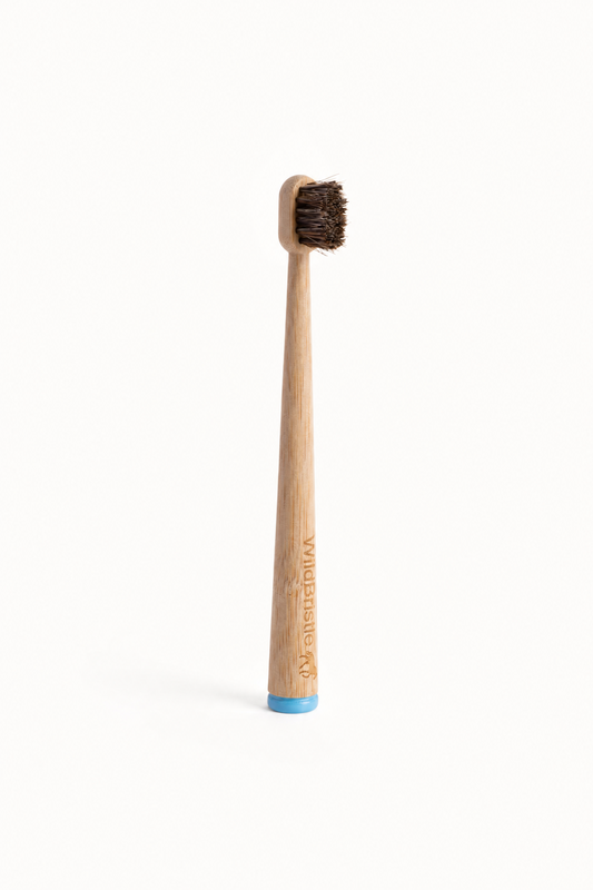 WildBristle Kids 4 pk  - Soft